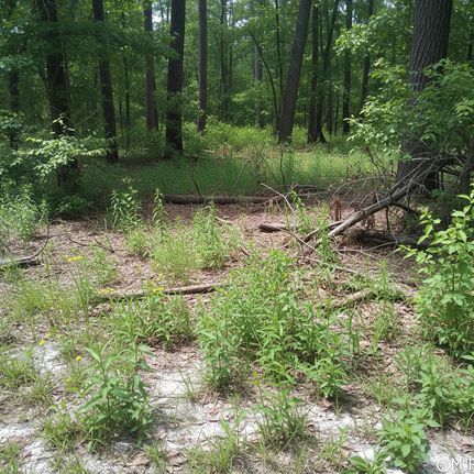 Farm Property for sale in Florence County, South Carolina