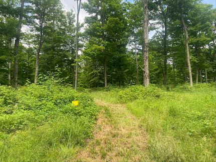 Ranch Property for sale in Allegany County, New York
