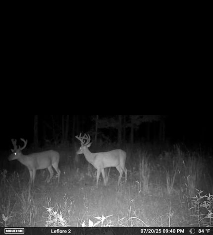 Farm Property for sale in Leflore County, Mississippi