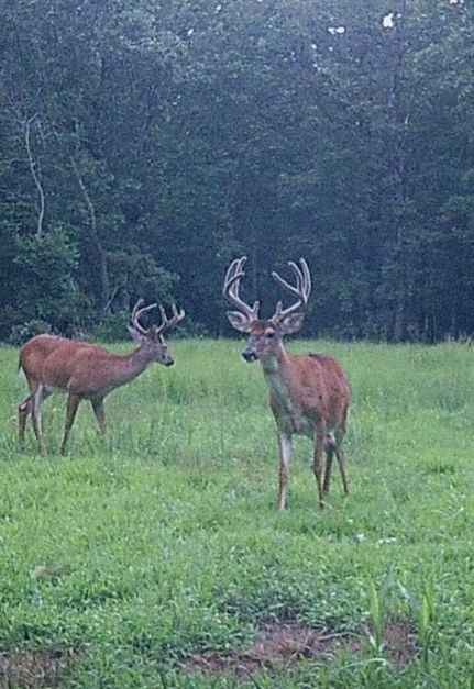 Recreational Property for sale in Madison County, Missouri