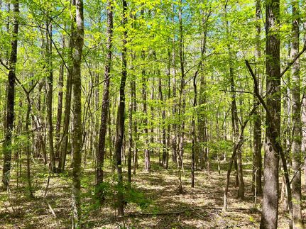 Farm Property for sale in Elmore County, Alabama
