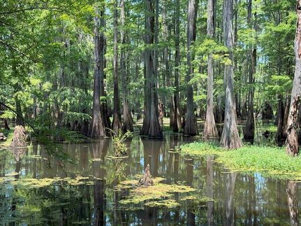 Residential Property for sale in Lenoir County, North Carolina