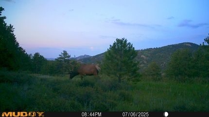 Undeveloped Land for sale in Larimer County, Colorado