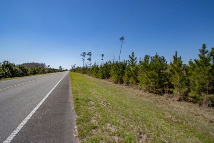 Timberland Property in Calhoun County, Florida