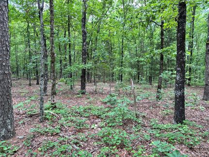 Farm Property for sale in Cleburne County, Arkansas