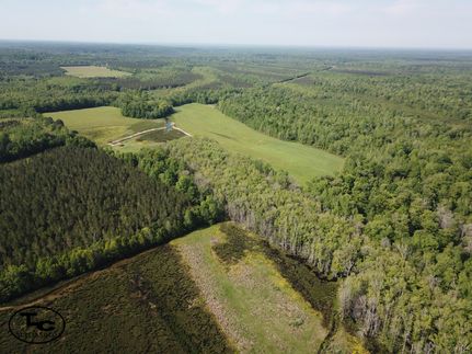 Timberland Property for sale in Marengo County, Alabama