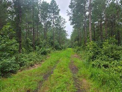 Ranch Property for sale in Scotland County, North Carolina
