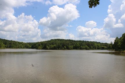 Property for sale in Marshall County, Mississippi