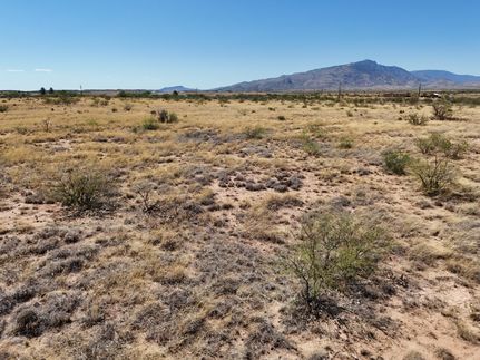 Undeveloped Land for sale in Cochise County, Arizona