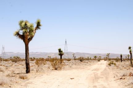 Farm Property for sale in San Bernardino County, California