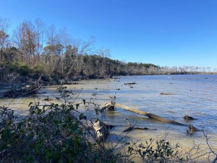 Farm Property for sale in Pasquotank County, North Carolina