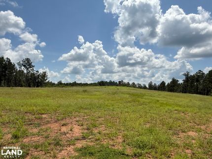 Ranch Property for sale in Perry County, Alabama