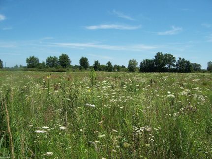 Ranch Property for sale in Saint Clair County, Michigan