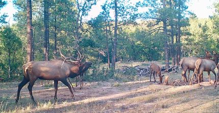 Residential Property for sale in Cibola County, New Mexico