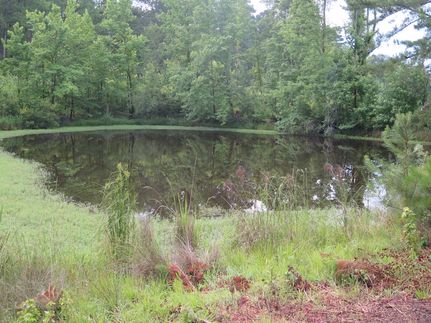 Farm Property for sale in Newton County, Mississippi