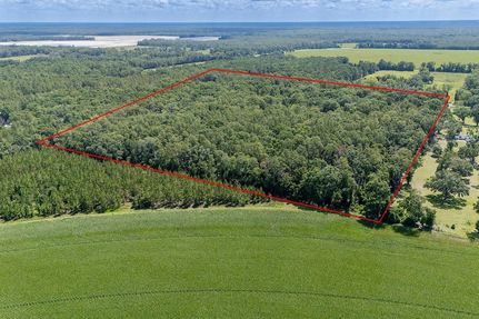 Farm Property for sale in Dixie County, Florida