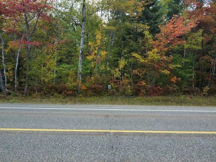 Undeveloped Land for sale in Chippewa County, Michigan