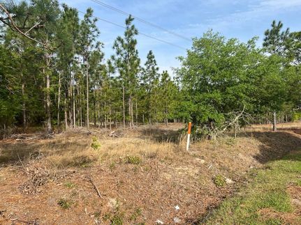 Ranch Property for sale in Darlington County, South Carolina