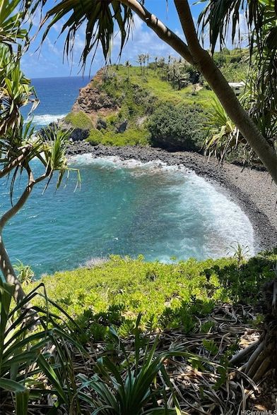 Undeveloped Land for sale in Maui County, Hawaii