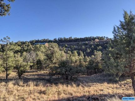 Ranch Property for sale in Grant County, New Mexico