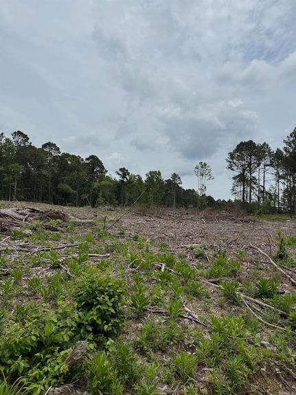 Recreational Property for sale in Clark County, Arkansas