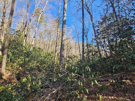 Farm Property for sale in Jackson County, North Carolina