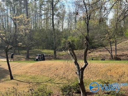 Ranch Property for sale in Marshall County, Alabama
