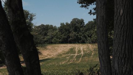 Farm Property for sale in Tipton County, Tennessee