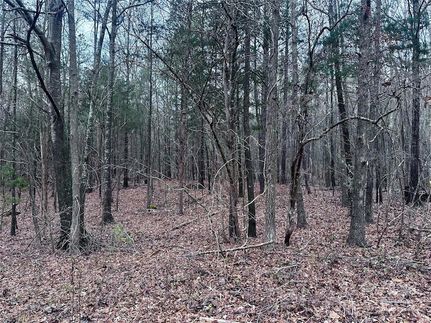 Undeveloped Land for sale in Lancaster County, South Carolina