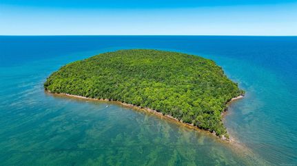 Farm Property for sale in Alger County, Michigan