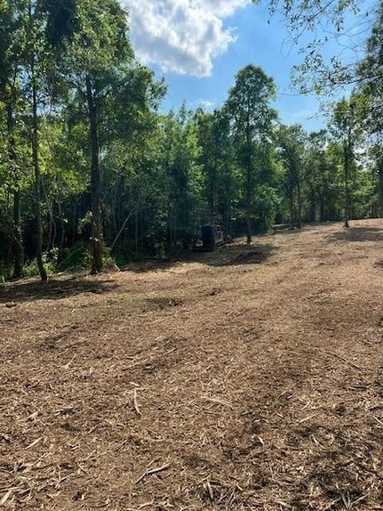 Undeveloped Land for sale in Pearl River County, Mississippi