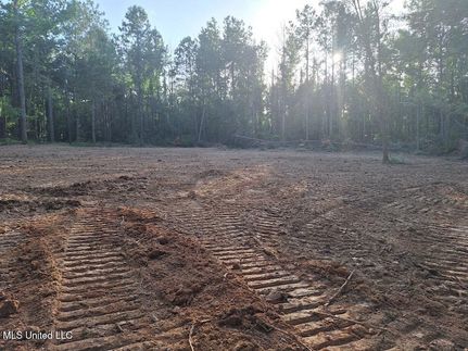 Ranch Property for sale in Simpson County, Mississippi
