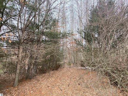 Residential Property for sale in Grand Traverse County, Michigan