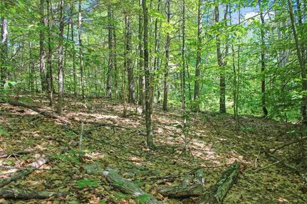 Farm Property for sale in Carroll County, New Hampshire