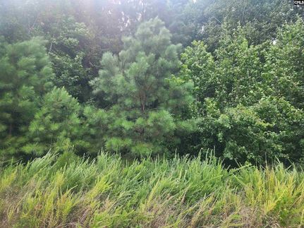 Farm Property for sale in Newberry County, South Carolina