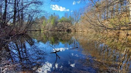 Ranch Property for sale in Fannin County, Georgia