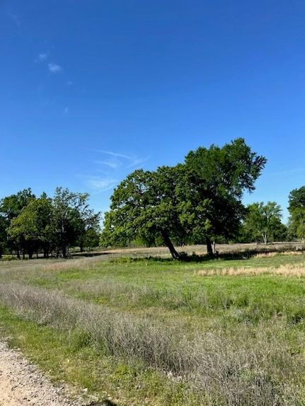 Undeveloped Land for sale in Red River County, Texas