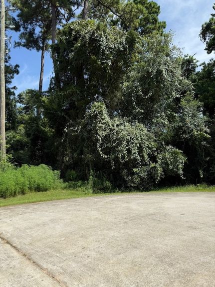 Undeveloped Land for sale in Harris County, Texas