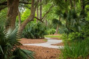 Undeveloped Land for sale in Berkeley County, South Carolina