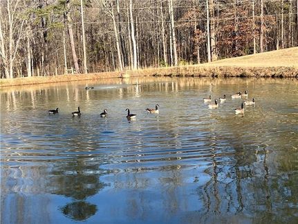 Recreational Property for sale in Cobb County, Georgia