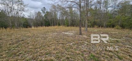 Farm Property for sale in Monroe County, Alabama