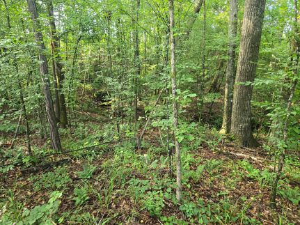 Farm Property for sale in Randolph County, Alabama
