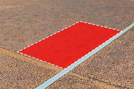 Undeveloped Land for sale in Valencia County, New Mexico
