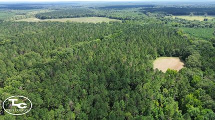 Farm Property for sale in Wilcox County, Alabama