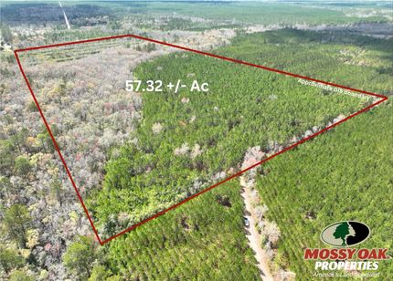 Farm Property for sale in Brantley County, Georgia