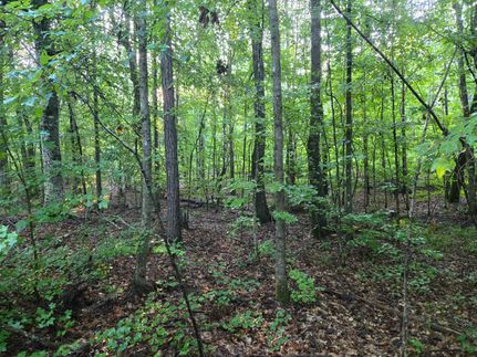 Recreational Property for sale in Randolph County, Alabama