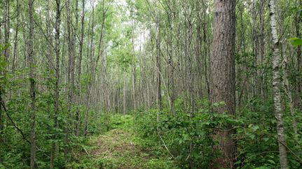 Ranch Property for sale in Oneida County, Wisconsin