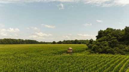 Farm Property for sale in Phillips County, Arkansas