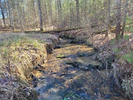 Undeveloped Land for sale in Cherokee County, North Carolina