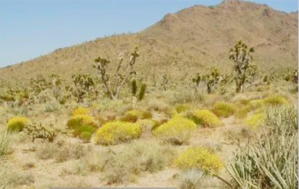Recreational Property for sale in Mohave County, Arizona